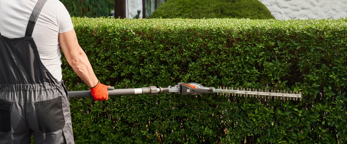 Mitarbeiter formt eine Hecke durch präzisen Schnitt zu einer gleichmäßigen Gartenstruktur.